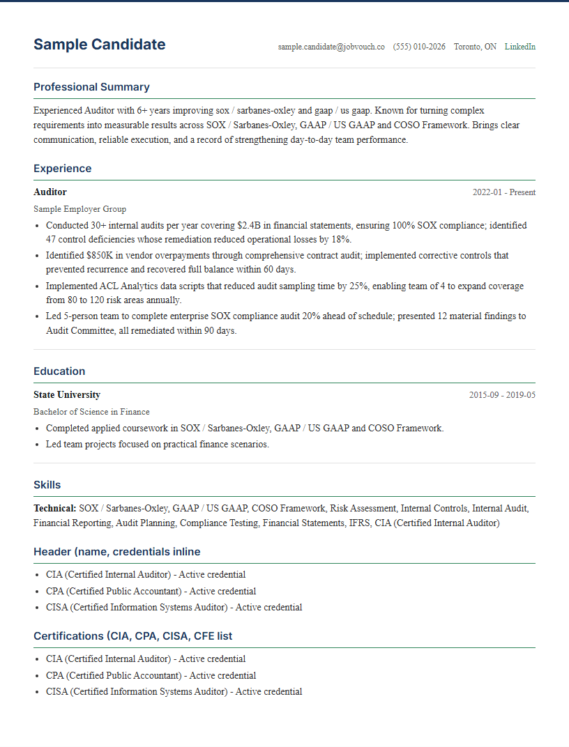 Auditor resume template preview
