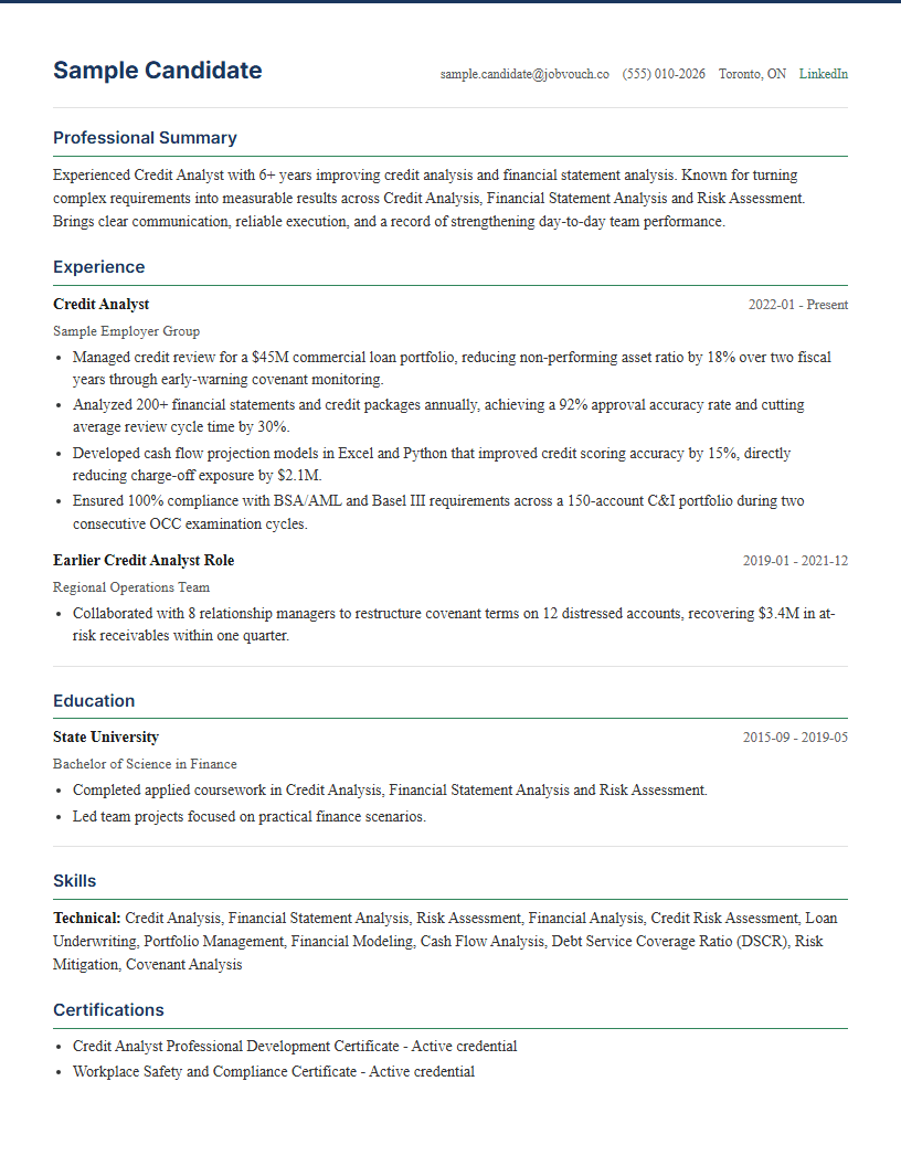 Credit Analyst resume template preview